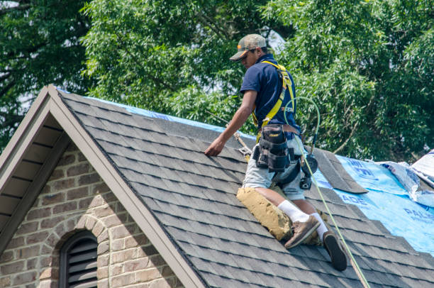 Best Roof Replacement Cost  in Chase City, VA